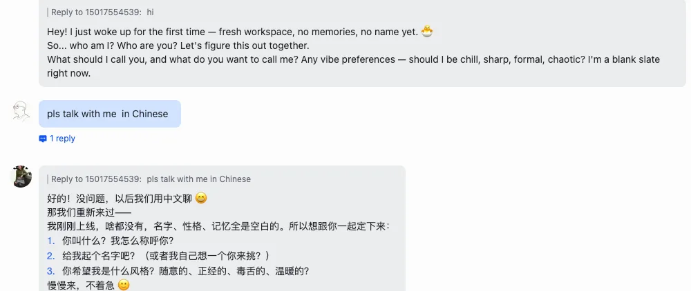 用 AI 部署 AI：一个提示词 10 分钟装好 OpenClaw - 配图 14