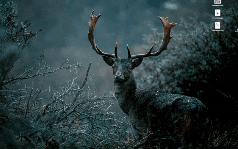 CleanShot 2026-04-19 at 08.56.24.gif|400